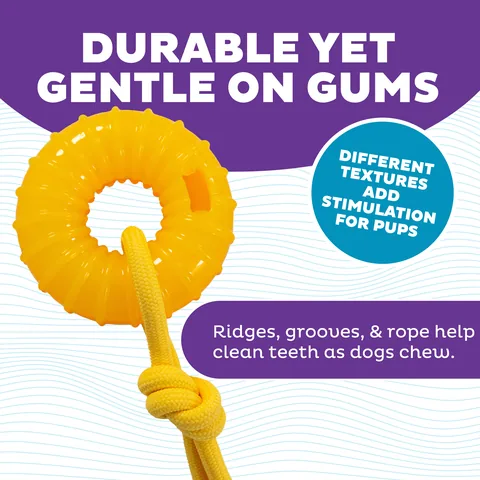 Outward Hound Gummiez Peach Ring – Orange 3