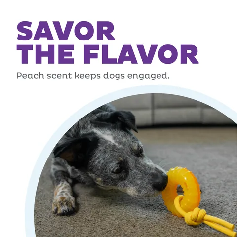 Outward Hound Gummiez Peach Ring – Orange 5