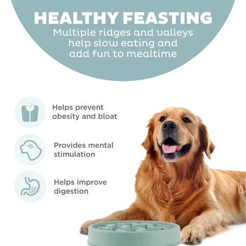 Outward Hound Fun Feeder Notch 刻痕慢食碗（鼠尾草綠／L） 2