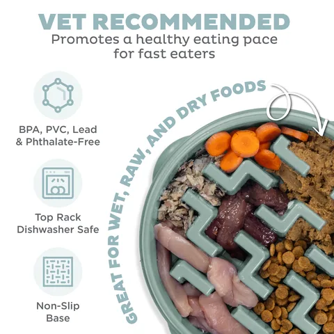 Outward Hound Fun Feeder Notch 刻痕慢食碗（鼠尾草綠／L） 3