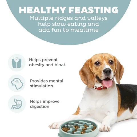 Outward Hound Fun Feeder Notch 刻痕慢食碗（鼠尾草綠／M） 2