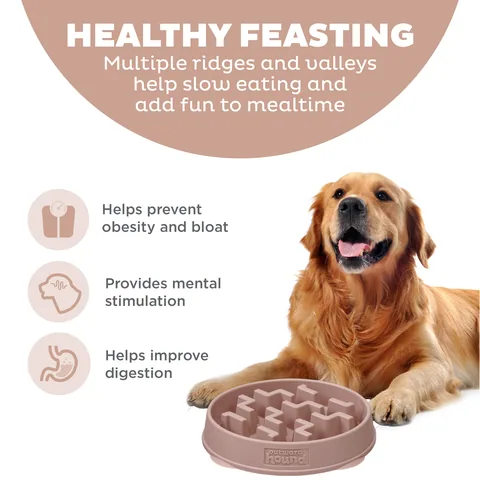 Outward Hound Fun Feeder Notch 刻痕慢食碗（Drs色／L） 2