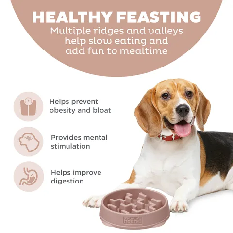 Outward Hound Fun Feeder Notch 刻痕慢食碗（Drs色／M） 2