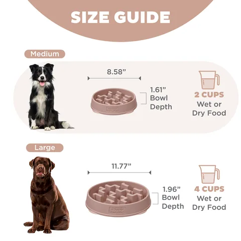 Outward Hound Fun Feeder Notch 刻痕慢食碗（Drs色／M） 5