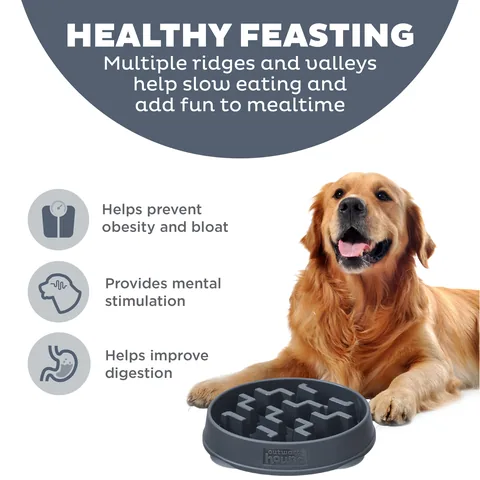 Outward Hound Fun Feeder Notch 刻痕慢食碗（碳灰／L） 2