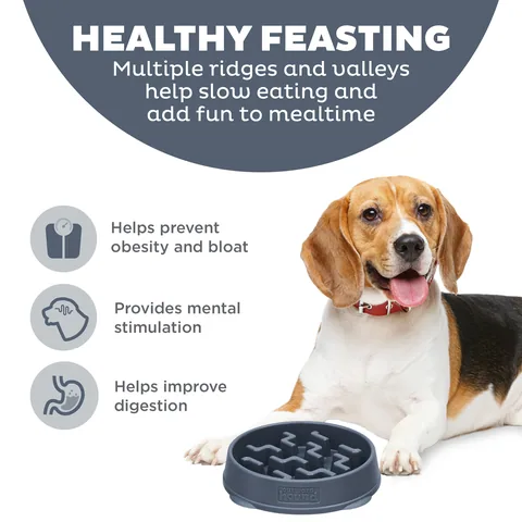 Outward Hound Fun Feeder Notch 刻痕慢食碗（碳灰／M） 2