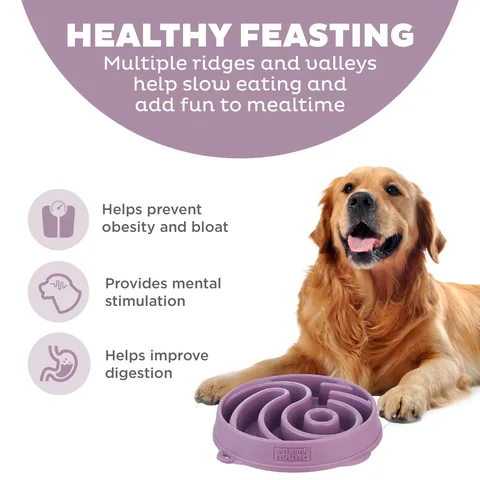 Outward Hound Fun Feeder Yin Yang 太極紋慢食碗（紫／L） 2