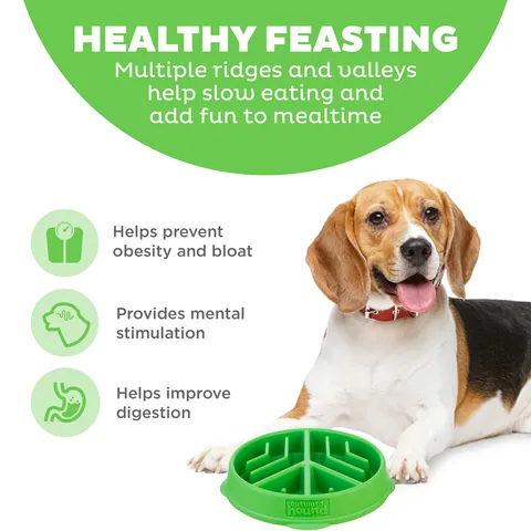Outward Hound Fun Feeder Peace 和平符號紋慢食碗（綠／M） 2