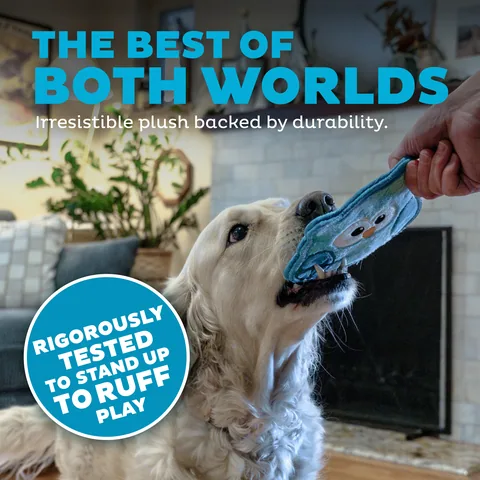 Outward Hound Tough Skinz Owl Dog Toy – Turquoise, Small 3