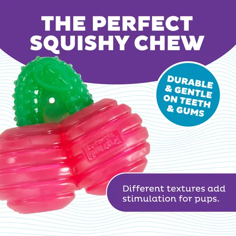 Outward Hound Gummiez Cherries 櫻桃造型耐咬潔牙玩具（紅） 3