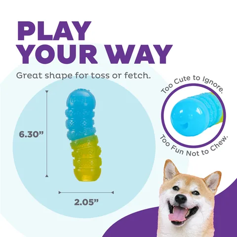 Outward Hound Gummiez Worm 狗狗蟲蟲潔牙零食玩具（多色） 4