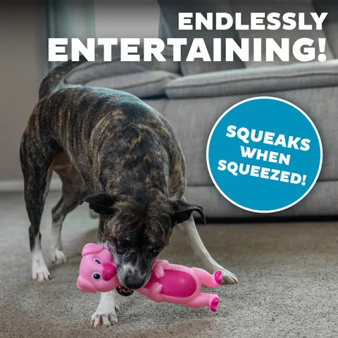 Outward Hound Big Squeak 無乳膠豬造型發聲狗玩具（粉／M） 4