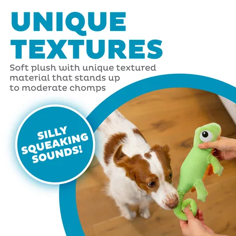 Outward Hound Coated Critterz 蜥蜴造型你丟我撿玩具（綠／M） 2