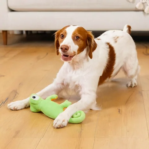 Outward Hound Coated Critterz 蜥蜴造型你丟我撿玩具（綠／M） 5
