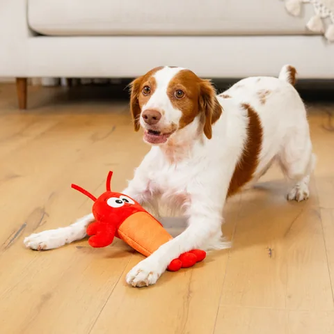 Outward Hound Coated Critterz 龍蝦造型你丟我撿玩具（紅／M） 5