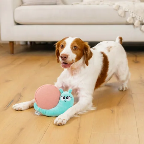 Outward Hound Coated Critterz 蝸牛造型你丟我撿玩具（藍／M） 5