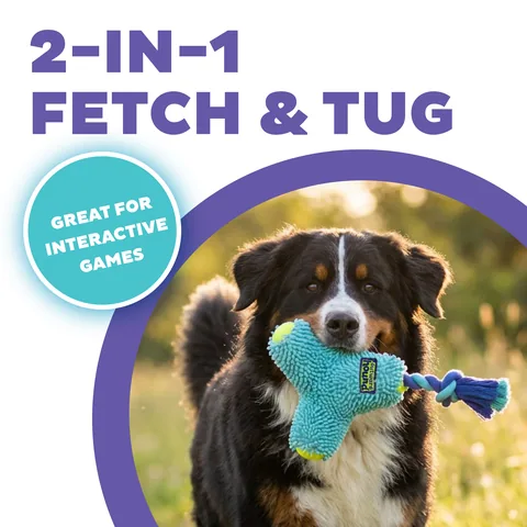 Outward Hound FlyFetch Rope Tug 拔河繩結玩具（藍／M） 2