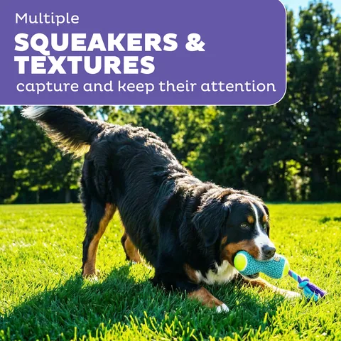 Outward Hound FlyFetch Rope Tug 拔河繩結玩具（藍／M） 4