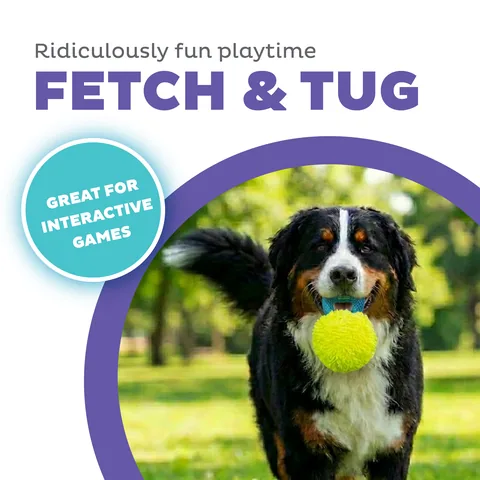 Outward Hound FlyFetch Giggle Ball 咯咯笑聲球（黃／M） 2