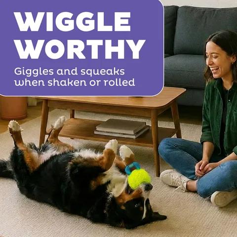 Outward Hound FlyFetch Giggle Ball 咯咯笑聲球（黃／M） 4