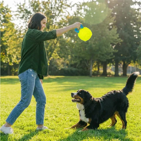 Outward Hound FlyFetch Giggle Ball 咯咯笑聲球（黃／M） 5