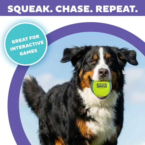 Outward Hound FlyFetch Ball 發聲球（多色／L） 2