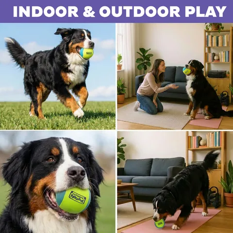 Outward Hound FlyFetch Ball 發聲球（多色／L） 4