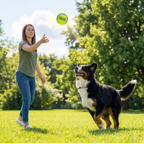 Outward Hound FlyFetch Ball 發聲球（多色／L） 5