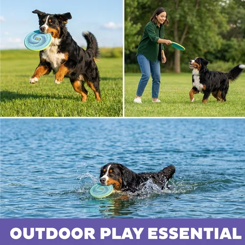 Outward Hound FlyFetch Disc 飛盤玩具（藍／M） 4