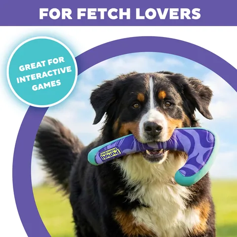 Outward Hound FlyFetch Boomerang Dog Toy – Purple, Medium 2