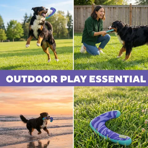 Outward Hound FlyFetch Boomerang Dog Toy – Purple, Medium 4