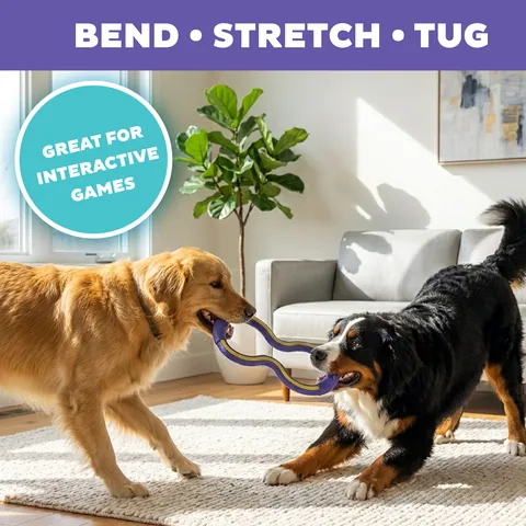 Outward Hound FlyFetch Tug 拔河玩具（紫／M） 2