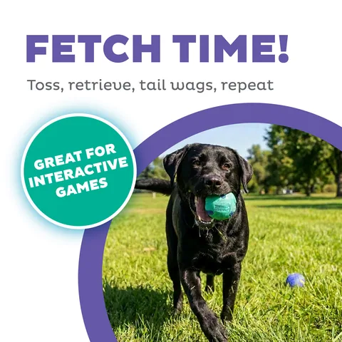 Outward Hound FlyFetch Rubber Ballz 橡膠球 2 入組（多色／M） 2