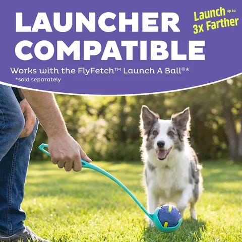 Outward Hound FlyFetch Rubber Ballz 橡膠球 2 入組（多色／M） 4