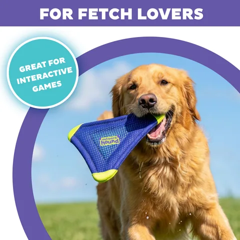Outward Hound FlyFetch Flyer 飛行玩具（紫／M） 2