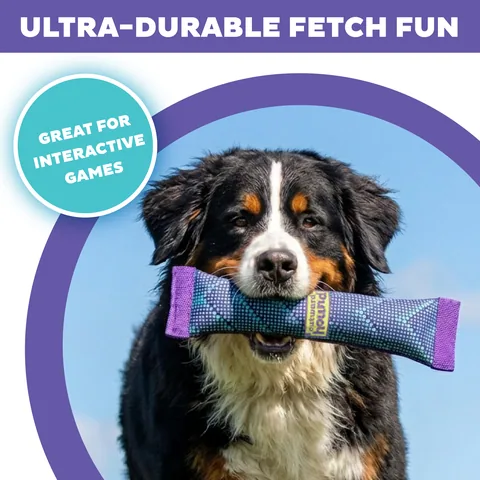 Outward Hound FlyFetch Firehose Fetch 消防水帶你丟我撿玩具（紫／M） 2