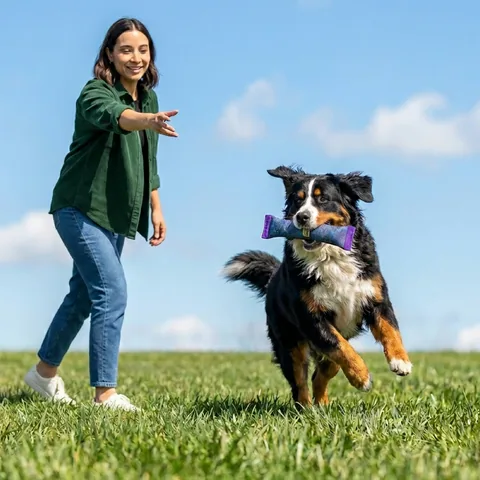 Outward Hound FlyFetch Firehose Fetch 消防水帶你丟我撿玩具（紫／M） 5