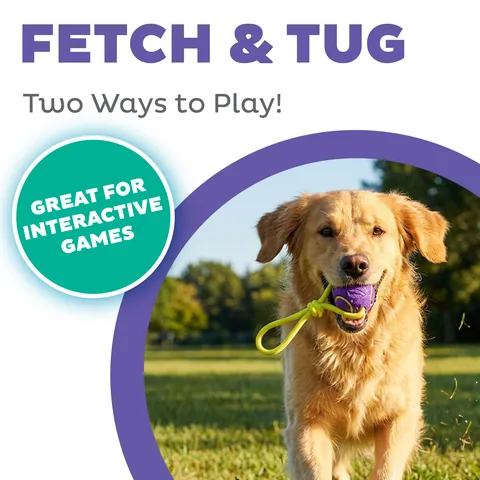 Outward Hound FlyFetch Ball Tug 拔河球玩具（紫／M） 2