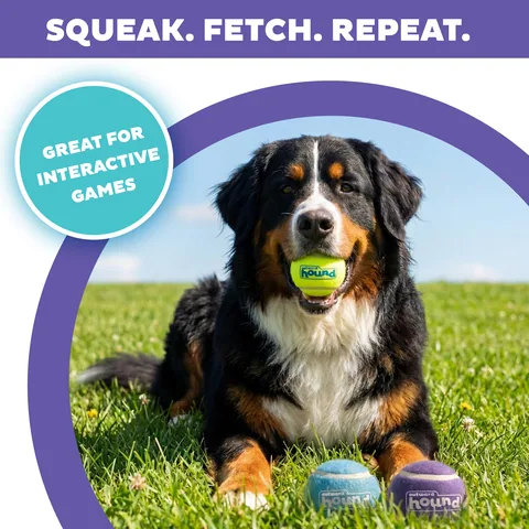 Outward Hound FlyFetch Squeaker Ballz 發聲網球 3 入組（多色／M） 2