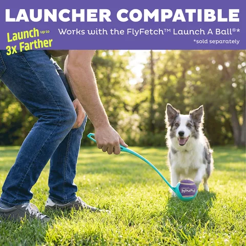 Outward Hound FlyFetch Squeaker Ballz 發聲網球 3 入組（多色／M） 4