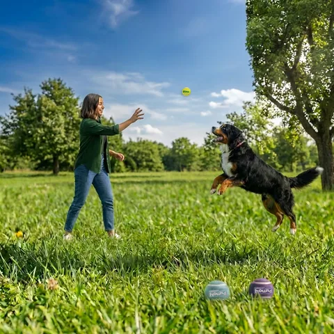 Outward Hound FlyFetch Squeaker Ballz 發聲網球 3 入組（多色／M） 5