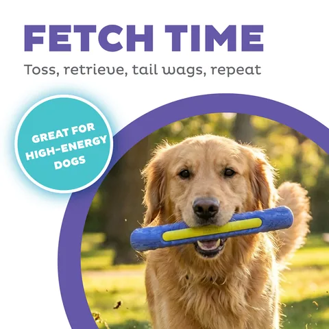 Outward Hound FlyFetch Stick 你丟我撿棒（紫） 2
