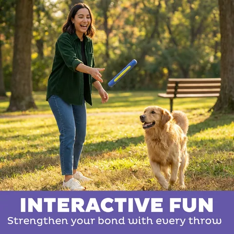 Outward Hound FlyFetch Stick 你丟我撿棒（紫） 4