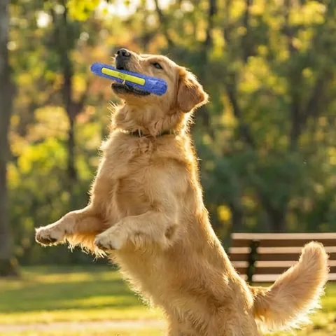 Outward Hound FlyFetch Stick 你丟我撿棒（紫） 5