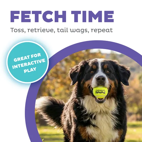 Outward Hound FlyFetch Launch A Ball 發射器（藍／M） 2
