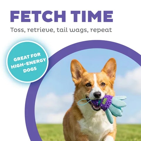 Outward Hound FlyFetch Birdies 小鳥玩具 2 入組（紫／S） 2