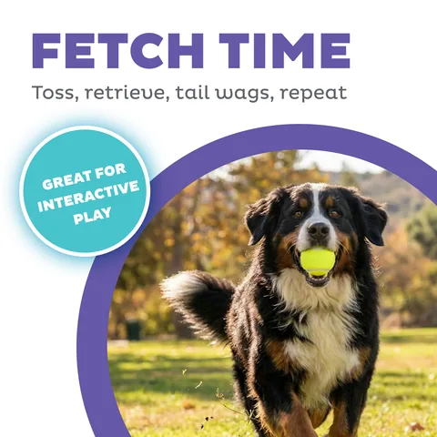 Outward Hound FlyFetch Launch A Ball 發射器（藍／L） 2