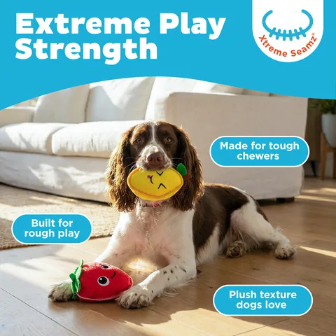 Outward Hound Xtreme Seamz 檸檬／草莓造型狗玩具 2入組（多色／S） 2