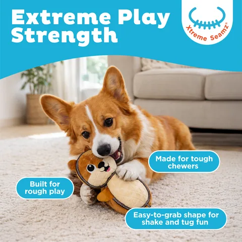 Outward Hound Xtreme Seamz 松鼠造型狗玩具（棕／M） 2