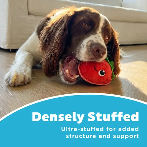Outward Hound Xtreme Seamz Strawberry Dog Toy – Red, Small 4